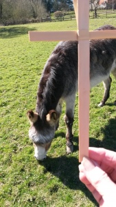 Palm Sunday April 5th 2020