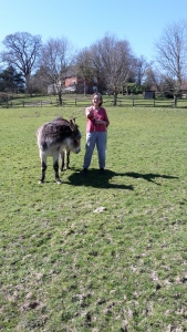 Palm Sunday April 5th 2020