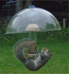Not-baffled-by-the-baffle